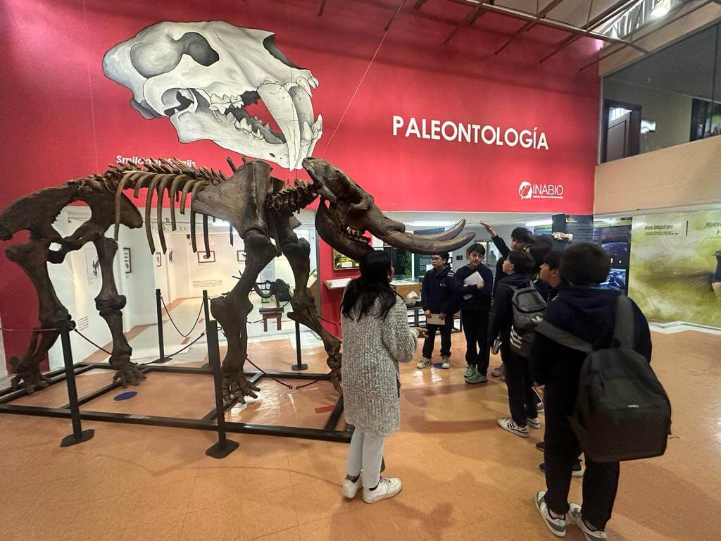 El primer paso para identificar una especie es su colección y el estudio detallado de su morfología, es decir, la forma y estructura de sus organismos. En la imagen se aprecia una impresionante réplica de un mastodonte, un antiguo pariente de los elefantes que habitó en lo que hoy es Ecuador hace aproximadamente entre 10 y 20 mil años. Con tres metros de altura y cinco metros de largo, este ejemplar representa uno de los fósiles más grandes que posee el país.Te invitamos a realizar un viaje en el tiempo y descubrir a este gigante del pasado en las salas de exhibición del Instituto Nacional de Biodiversidad (INABIO), donde se conserva parte fundamental de nuestro patrimonio natural.