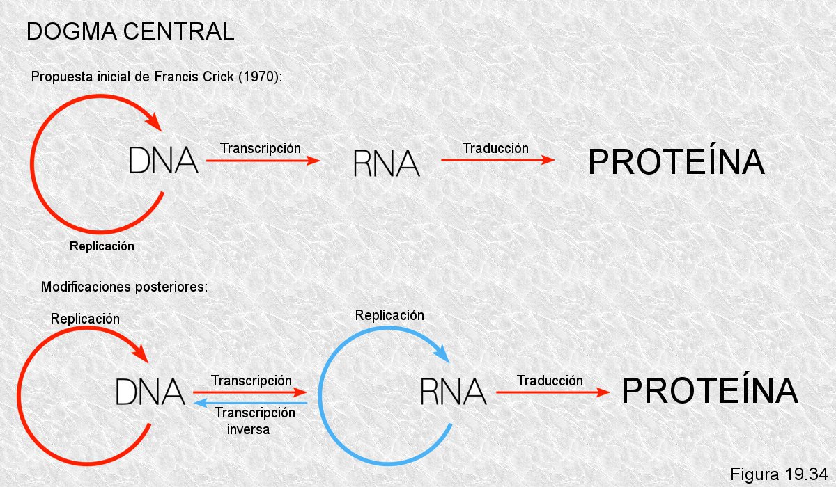 Mecanismos que hacen posible este flujo de información.